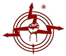 Logo of Dönberg Electronics (R)